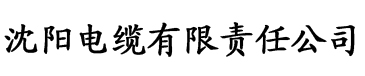 星晨视频电缆厂logo